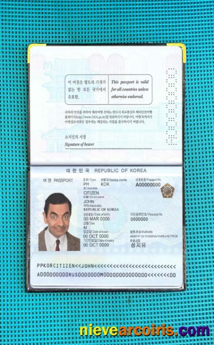 South Korea passport photolook